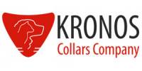 Логотип Kronos