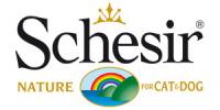 Schesir