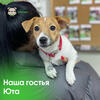Фотография к отзыву - Адресник MY FAMILY BASIC хромированный Круг, маленький