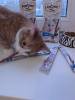Фотография к отзыву - Старое Лакомство Мнямс Pro Pet палочки для кошек с лососем и форелью, 13,5 см, 3 шт.