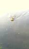 Фотография к отзыву - Летающая тарелка StarMark Easy Glider, малая, желтая