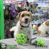 Фотография к отзыву - Мяч сетчатый Hol-ee Roller Dog Toys из каучука, средний, зеленый