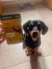 Фотография к отзыву - Пауч для собак Мнямс Максимум вкуса, томленый ягненок в соусе, 85 г