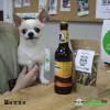 Фотография к отзыву - Пивной напиток для собак Schwanz, 0,33 л