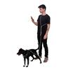 Фотография к отзыву - Поводок Zee.Dog handsfree Titanium Gray, 240 см, серый