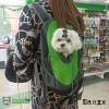 Фотография к отзыву - Рюкзак Pet Fashion с сеткой, M, зеленый