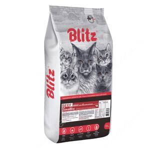 Blitz Beef Cat