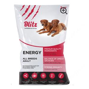 Blitz Energy