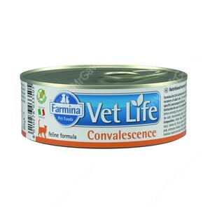 Консервы Farmina Vet Life Convalescence Cat