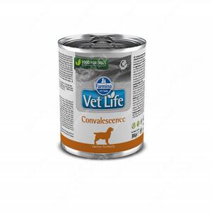 Консервы Farmina Vet Life Convalescence Dog