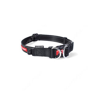 Ошейник EzyDog DOUBLE UP, S, 29 см*1,2 см, черный