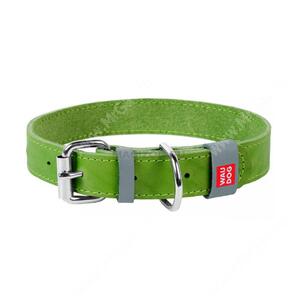 Ошейник кожаный Collar WAUDOG Classic, 25 см*1,2 см, салатовый