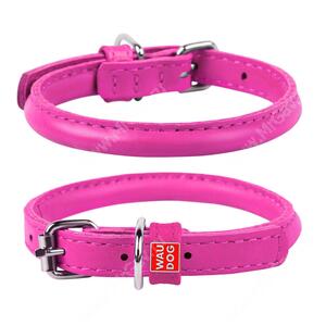 Ошейник кожаный круглый Collar WAUDOG Glamour, 41 см*1 см, розовый