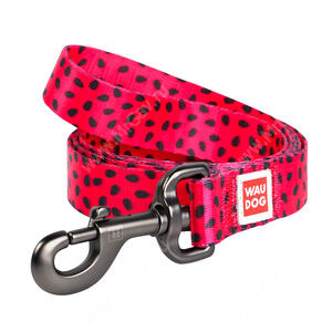 Поводок Collar WAUDOG Nylon Арбуз, 122 см*1,5 см