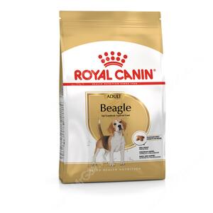 Royal Canin Beagle