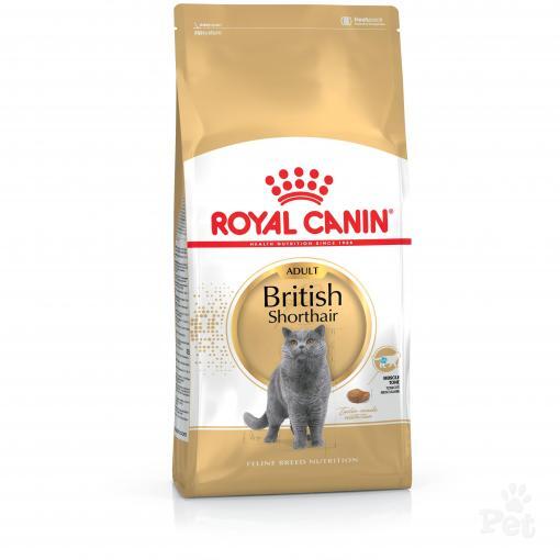 Royal Canin British Shorthair