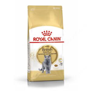 Royal Canin British Shorthair