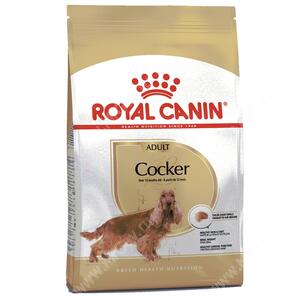 Royal Canin Cocker
