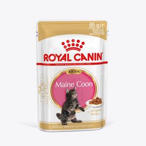 Royal Canin Kitten Maine Coon (в соусе), 85 гр