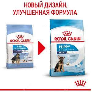 Royal Canin Maxi Junior