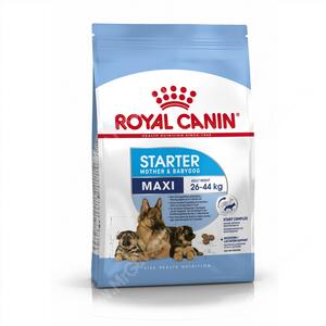 Royal Canin Maxi Starter