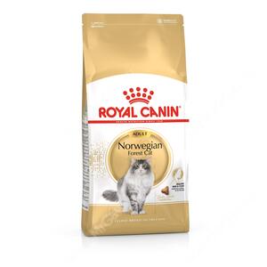 Royal Canin Norwegian Forest 