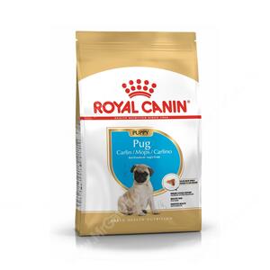 Royal Canin Pug Junior
