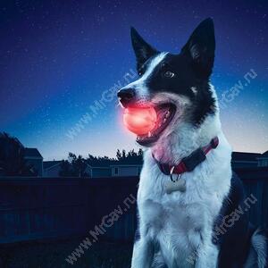 Светодиодный мяч для собак NiteIze GlowStreak + брелок диско