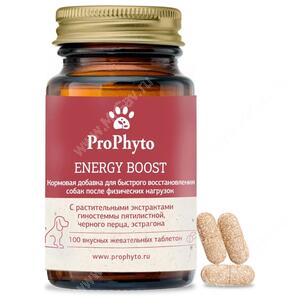Витамины ProPhyto Энерджи Буст,100 шт