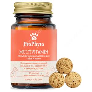 Витамины ProPhyto Мультивитамин, 40 шт