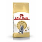 Royal Canin British Shorthair