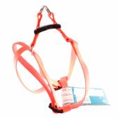 Шлейка нейлоновая Ferplast Easy, 42-60 см*1,5 см, оранжевая