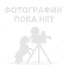 Ошейник EzyDog NEO Классический, М, 45 см*2, 5 см, баблгам