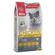 Blitz Chiken Cat