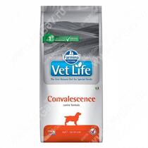 Farmina Vet Life Convalescence Dog