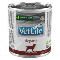 Farmina Vet Life Hepatic Dog, 300 г