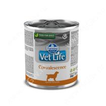 Консервы Farmina Vet Life Convalescence Dog, 300 г