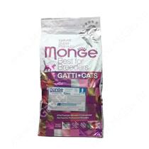 Monge Kitten, 10 кг