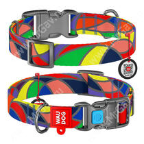 Ошейник Collar WAUDOG Nylon Витраж, 40 см*2 см