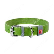 Ошейник кожаный Collar WAUDOG Classic, 25 см*1,2 см, салатовый