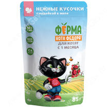 Паучи Ферма кота Фёдора Нежные кусочки в желе с индейкой для котят, 85 г