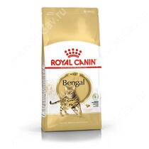 Royal Canin Bengal