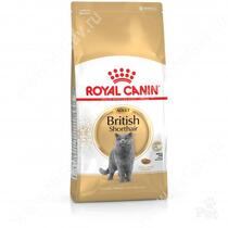 Royal Canin British Shorthair, 2 кг