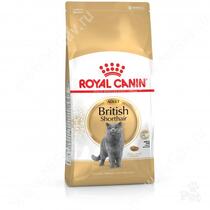 Royal Canin British Shorthair, 4 кг