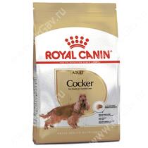 Royal Canin Cocker