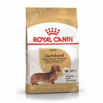 Royal Canin Dachshund