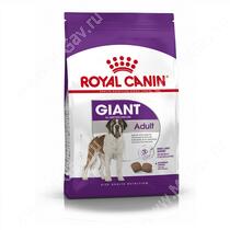 Royal Canin Giant Adult