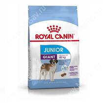 Royal Canin Giant Junior