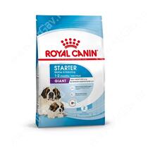 Royal Canin Giant Starter