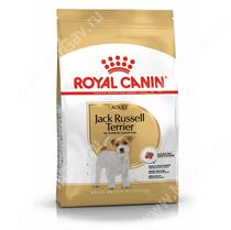 Royal Canin Jack Russell Terrier
